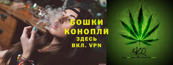 мяу мяу мука Гусиноозёрск