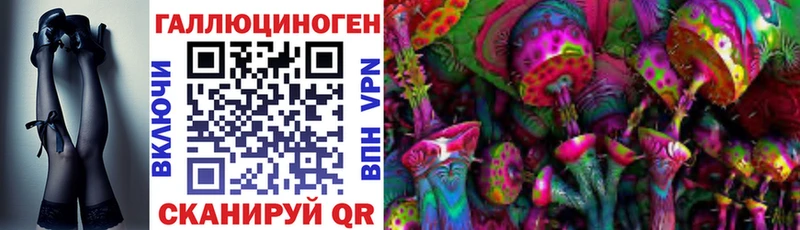 Псилоцибиновые грибы Psilocybe Еманжелинск