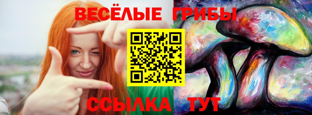Псилоцибиновые грибы Psilocybine cubensis  Вход с VPN  Еманжелинск  дарнет шоп  Галлюциногенные грибы Cubensis 